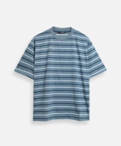 Striped Stone Blue Tees